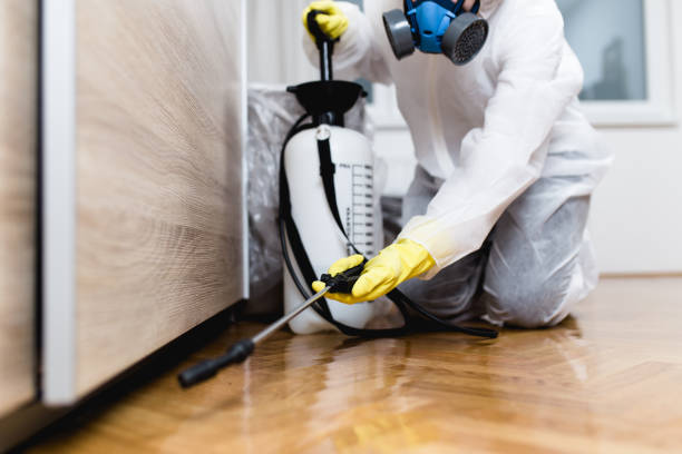 Best Residential Pest Control  in Gervais, OR