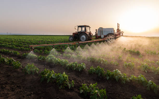 Best Mosquito Control Services  in Gervais, OR