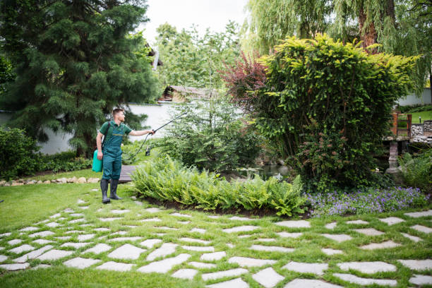 Professional Pest Control in Gervais, OR