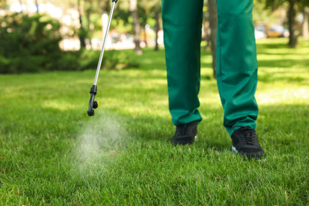 Best Bed Bug Extermination  in Gervais, OR