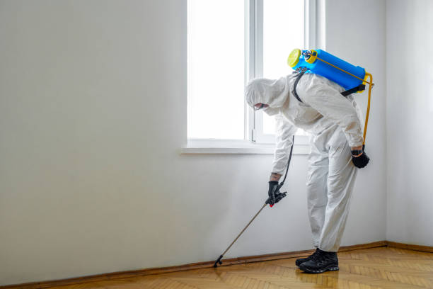 Best Pest Control for Homes  in Gervais, OR