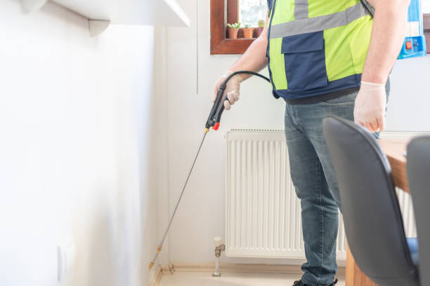 Best Rat Extermination Near Me  in Gervais, OR