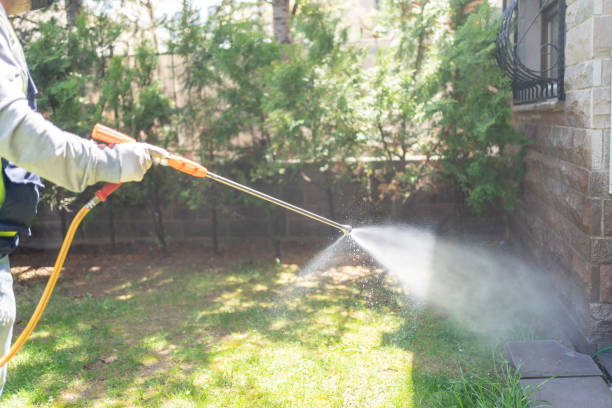 Best Ant Control Services  in Gervais, OR
