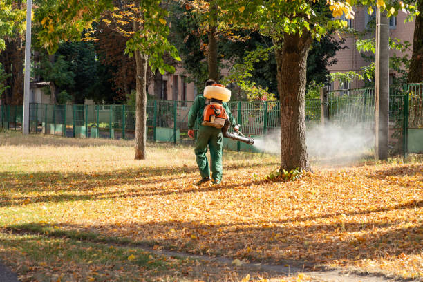 Best Pest Inspection Near Me  in Gervais, OR