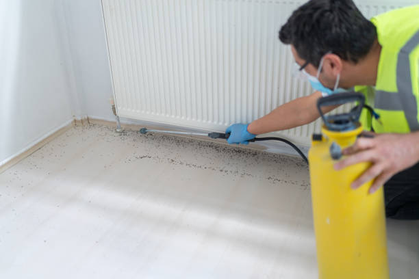 Best Exterminator Services  in Gervais, OR