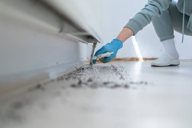 Wildlife Control Services in Gervais, OR